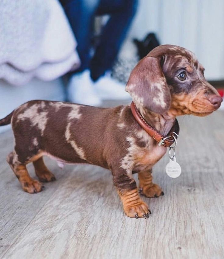 Charlie
